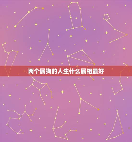 两个属狗的人生什么属相最好，属狗的和什么属相最配