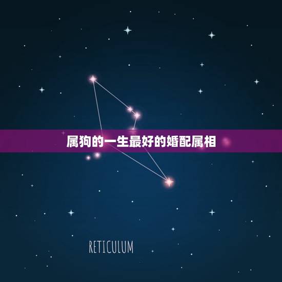 属狗的一生最好的婚配属相，属狗的人和什么属相相配最好