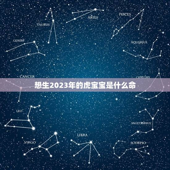 想生2023年的虎宝宝是什么命，2023年虎年是什么命