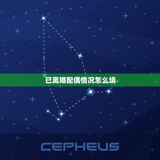 已离婚配偶情况怎么填，离婚，其余条件都合，请问配偶栏是填前夫还是不填