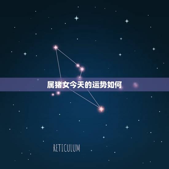 属猪女今天的运势如何，属猪女今天的运势如何看