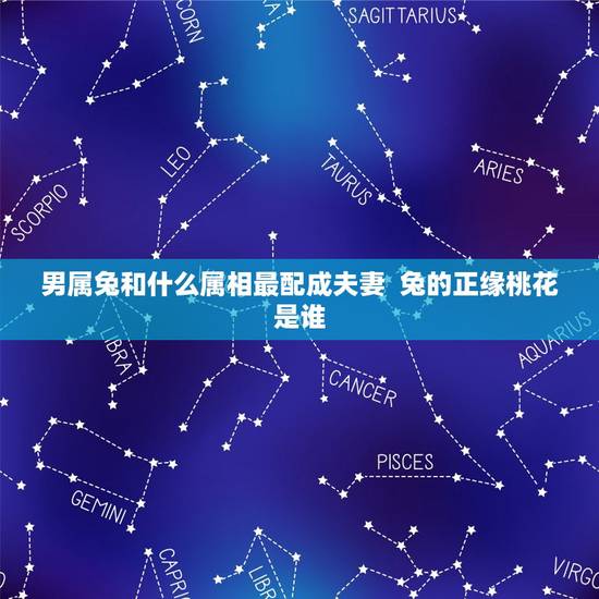 男属兔和什么属相最配成夫妻  兔的正缘桃花是谁