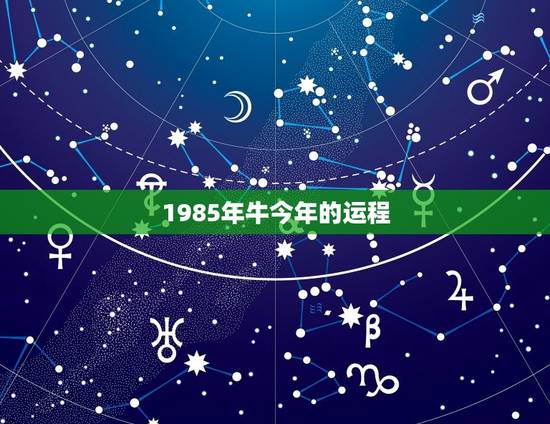 1985年牛今年的运程,85年的牛今年做生意运程怎样 1985年牛今年的运程,85年的牛今年做生意运程怎样