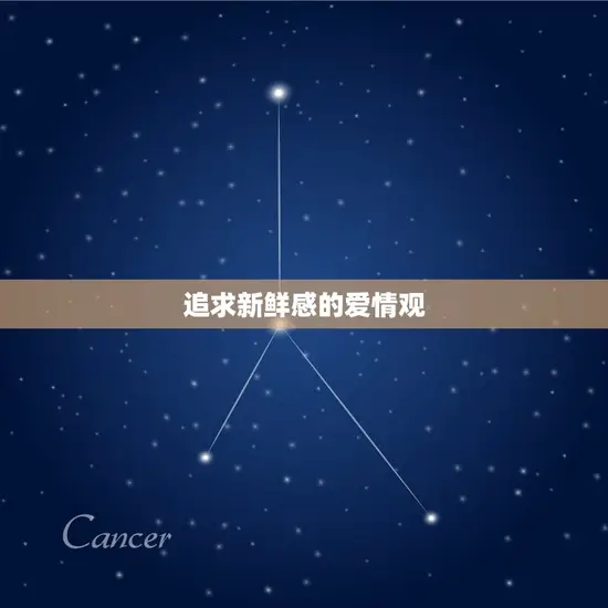 追求新鲜感的爱情观