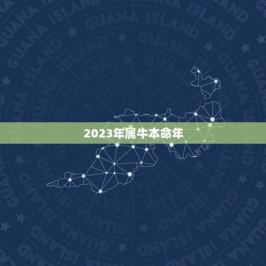 2023年属牛本命年，2023年属牛本命年要带什么饰物好 本命年要买什