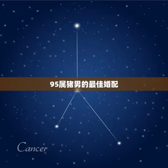 95属猪男的最佳婚配