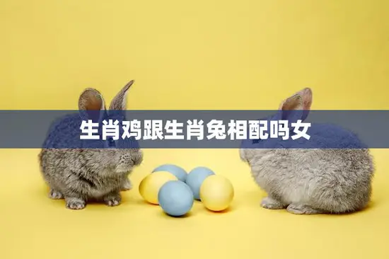 生肖鸡跟生肖兔相配吗女(生肖配对解析)