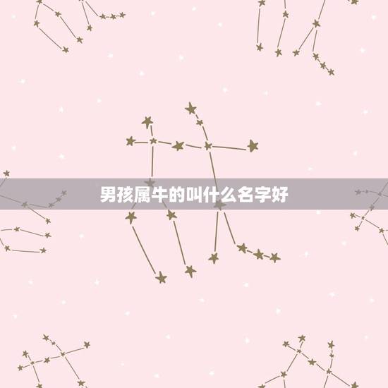 男孩属牛的叫什么名字好，属牛的男孩名字带什么字含义好