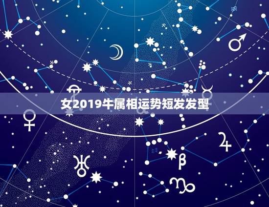 女2019牛属相运势短发发型，属牛今年运势好不好？