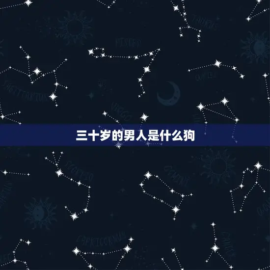 三十岁的男人是什么狗