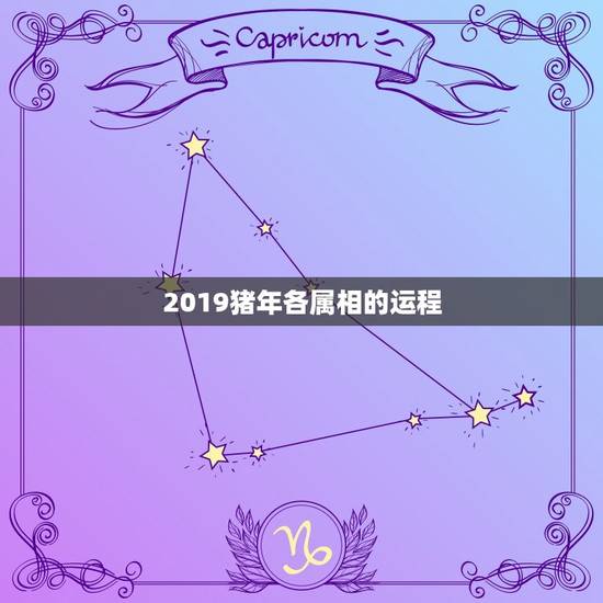 2019猪年各属相的运程，2019十二生肖运势详解