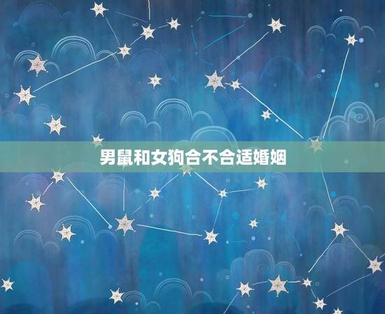 男鼠和女狗合不合适婚姻，女狗与男鼠能相配吗