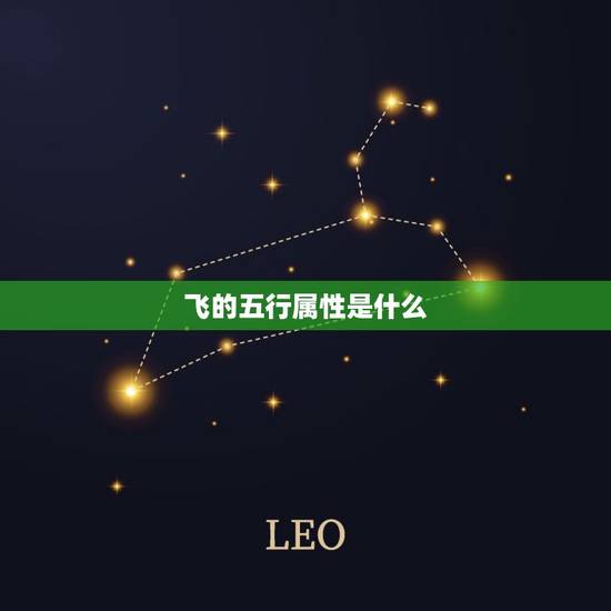 飞的五行属性是什么,鹏和飞字各说几画,五行 飞的五行属性是什么,鹏和飞字各说几画,五行