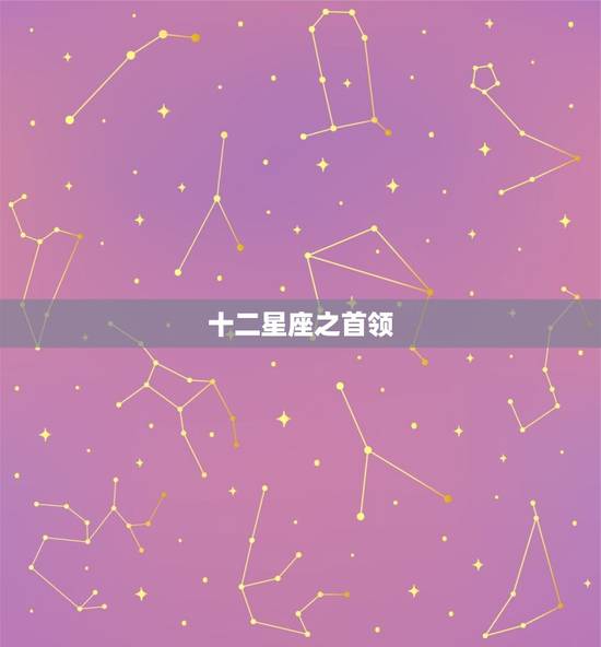 十二星座之首领，十二星座跑步速度排名