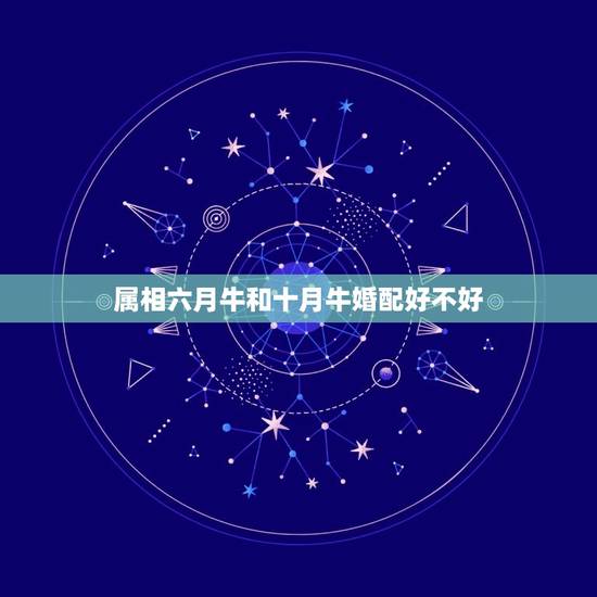 属相六月牛和十月牛婚配好不好，属相历六月的牛和十月的羊能结婚好吗