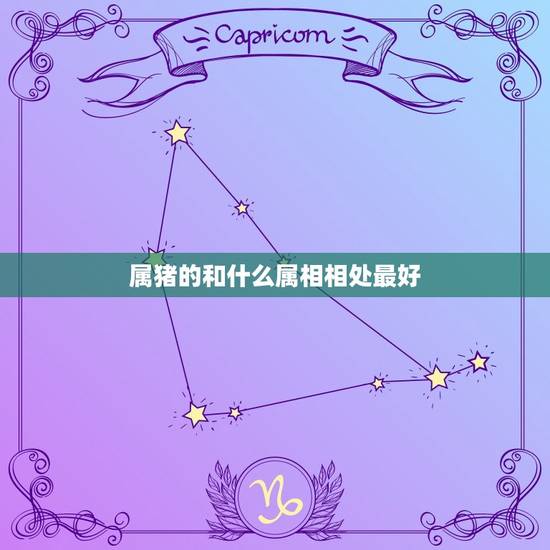 属猪的和什么属相相处最好，属猪的和什么属相最配 解析性格