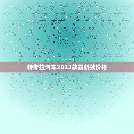 特斯拉汽车2023款最新款价格，特斯拉电车2023款最新款价格
