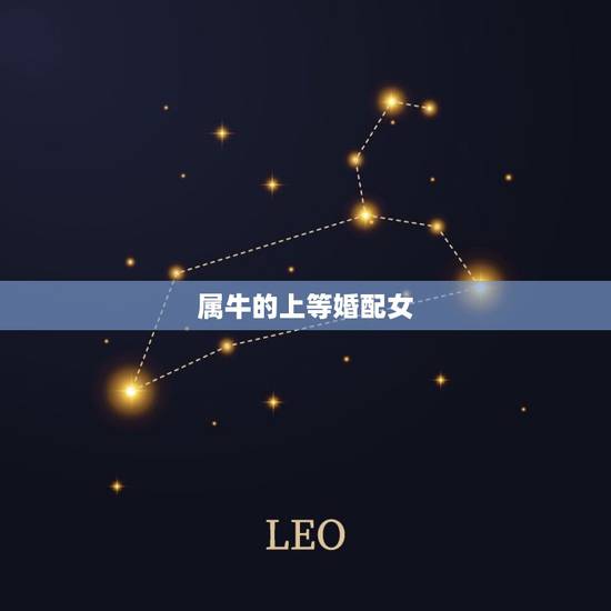 属牛的上等婚配女，属牛男的和什么属相女最配