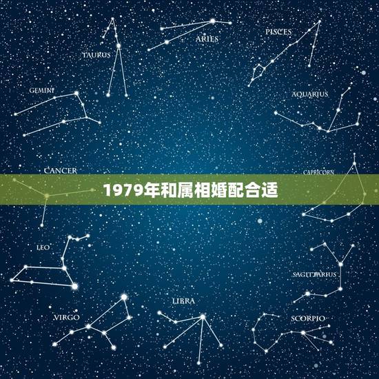 1979年和属相婚配合适，属相婚配1979配1983可否