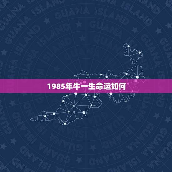 1985年牛一生命运如何，属牛，1985年命运怎样