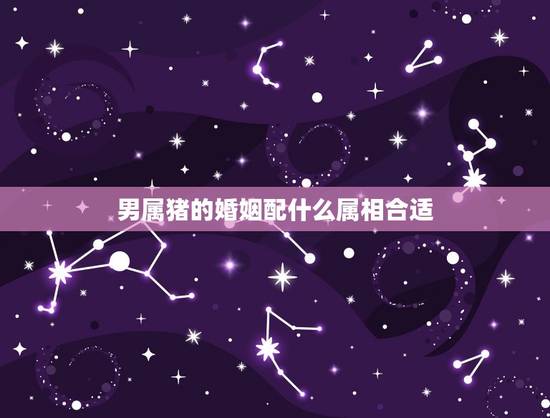 男属猪的婚姻配什么属相合适,属猪配什么属相最合适 男属猪的婚姻配什么属相合适,属猪配什么属相最合适