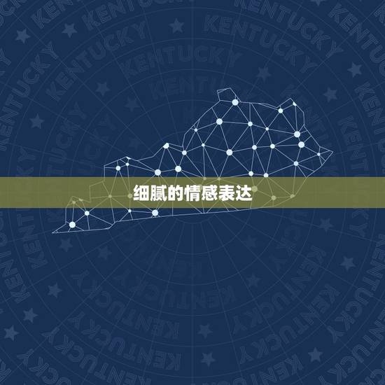 细腻的情感表达