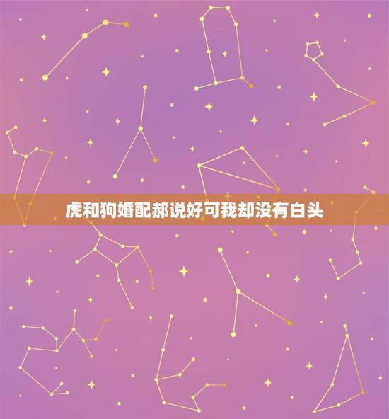 虎和狗婚配郝说好可我却没有白头，吵吵闹闹看似不合，却能白头到老的生肖婚