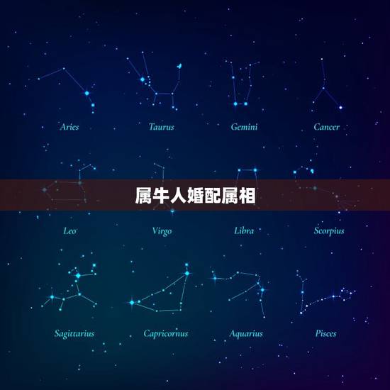 属牛人婚配属相，属牛的和什么属相最配？