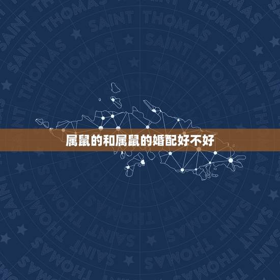 属鼠的和属鼠的婚配好不好，属鼠男生和属鼠女生婚姻配吗