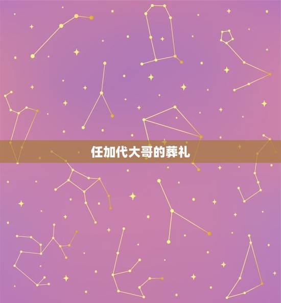 任加代大哥的葬礼，《你是我的妹》简介、作者、类型 。请个位大哥告诉