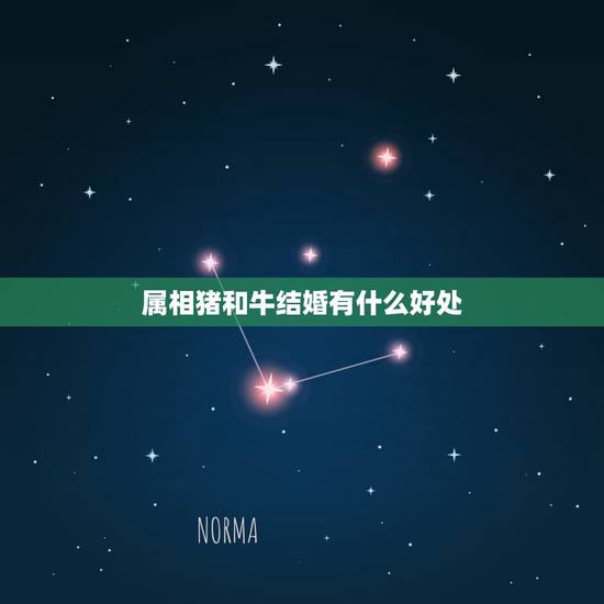 属相猪和牛结婚有什么好处,属猪能和属牛结婚吗 属相猪和牛结婚有什么好处,属猪能和属牛结婚吗