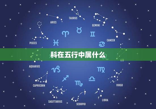 科在五行中属什么，从五行来看，文科的专业或