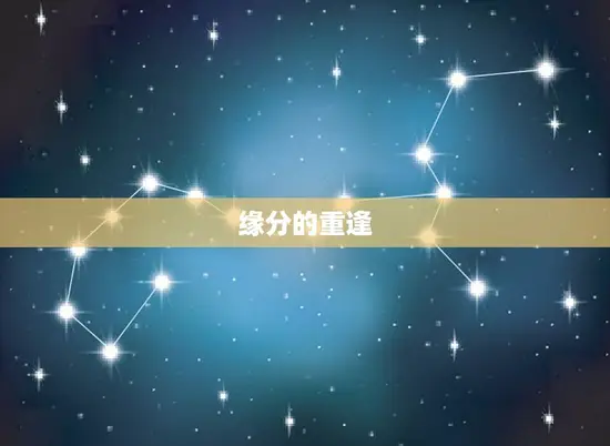 缘分的重逢 缘分的重逢