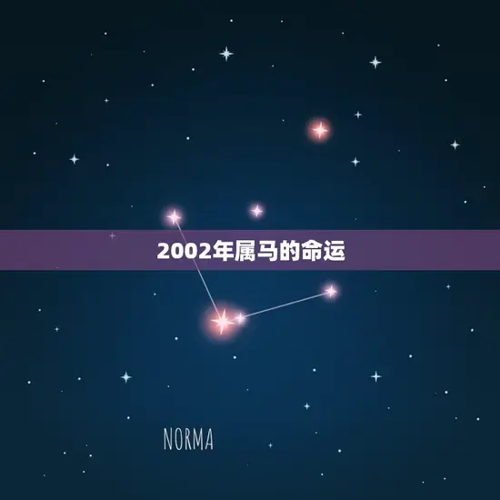 2002年属马的命运