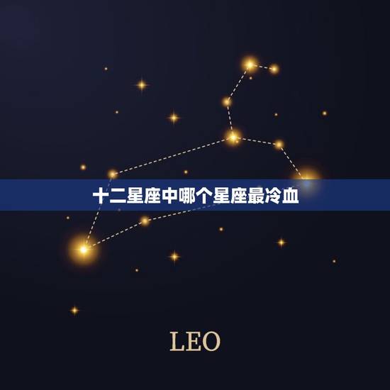 十二星座中哪个星座最冷血，最冷漠高高在上星座生肖