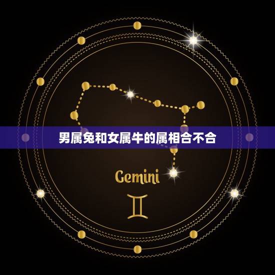 男属兔和女属牛的属相合不合，男1985属牛女1987属兔在一起合不合