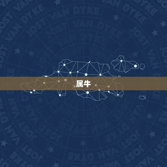 属牛