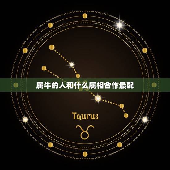 属牛的人和什么属相合作最配,属牛和什么属相合财 属牛的人和什么属相合作最配,属牛和什么属相合财