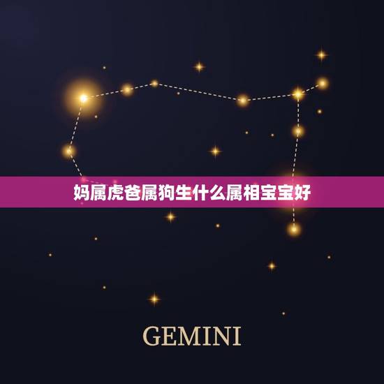 妈属虎爸属狗生什么属相宝宝好，属狗和什么属相相冲