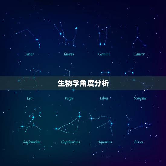 生物学角度分析