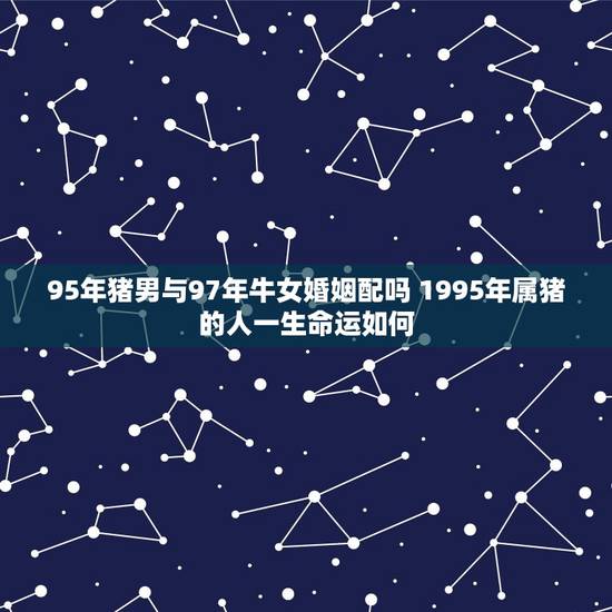 95年猪男与97年牛女婚姻配吗 1995年属猪的人一生命运如何 95年猪男与97年牛女婚姻配吗 1995年属猪的人一生命运如何