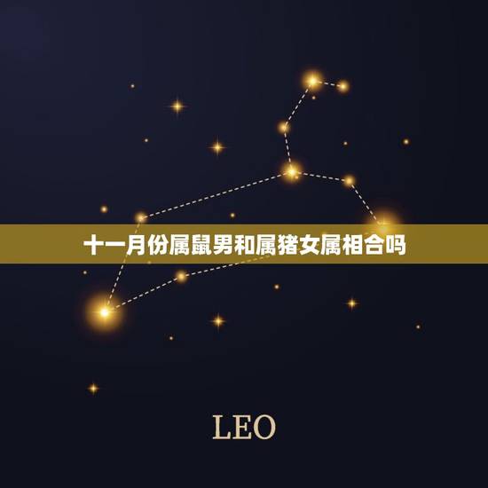 十一月份属鼠男和属猪女属相合吗，属猪男和属鼠女