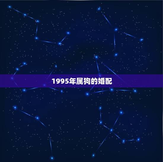 1995年属狗的婚配，男属猪95年生人女属狗95年1月生人婚配如何