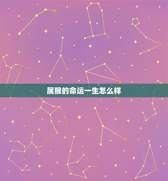 属猴的命运一生怎么样