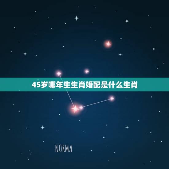 45岁哪年生生肖婚配是什么生肖，属相婚配十二生肖年龄表