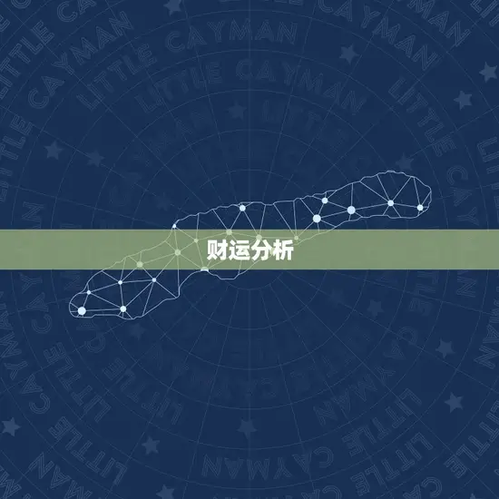 财运分析