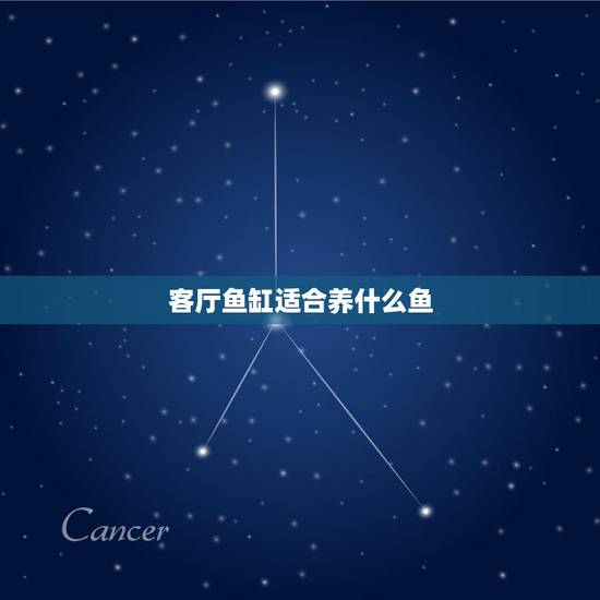 客厅鱼缸适合养什么鱼，鱼缸里养什么鱼好 鱼缸里什么鱼最好养