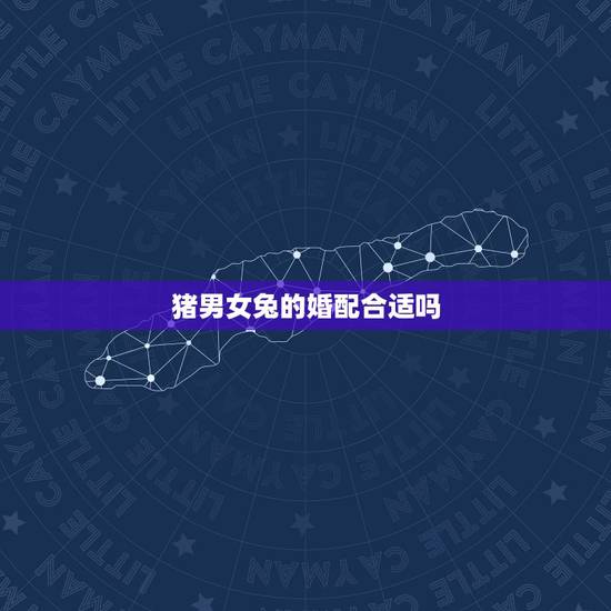 猪男女兔的婚配合适吗，属相婚配：男属兔和女属猪相配吗