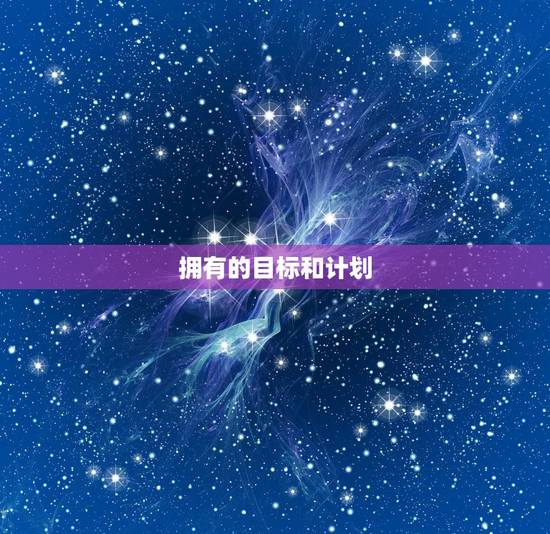 拥有的目标和计划