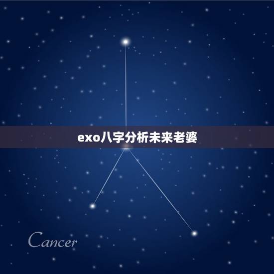 exo八字分析未来老婆，关于EXO成员的八字句子，